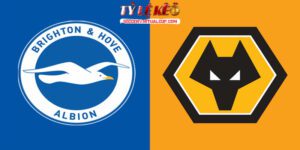 brighton vs wolves